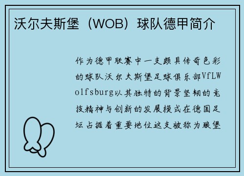 沃尔夫斯堡（WOB）球队德甲简介